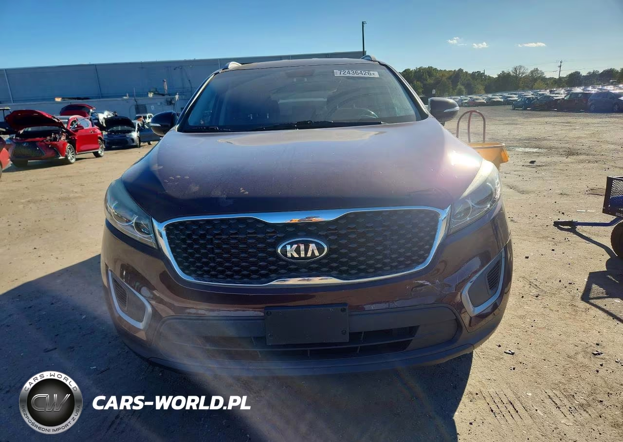 2017 Kia Sorento Lx VIN:5XYPG4A31HG255644 - 5