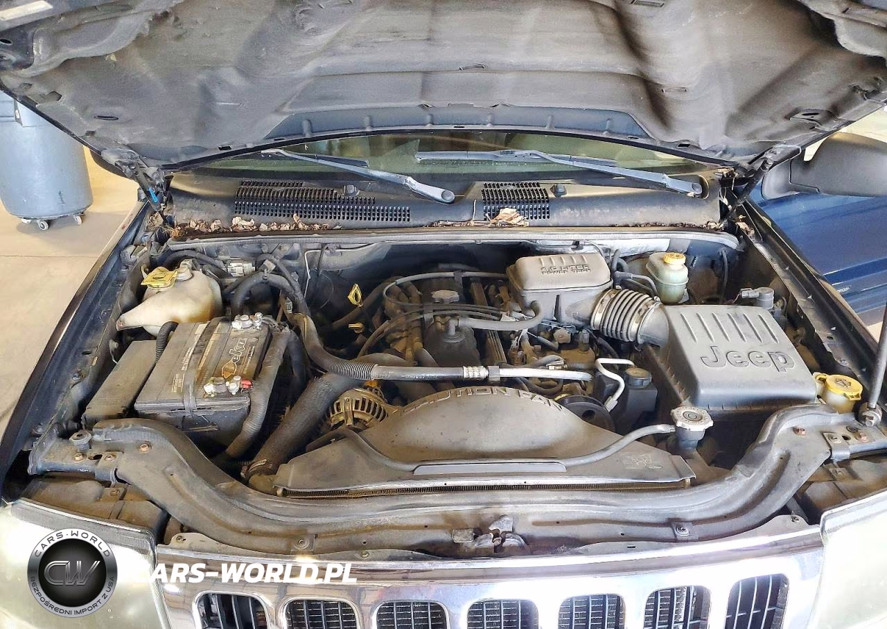 2002 Jeep Grand Cherokee Laredo VIN:1J8GW48S52C270202 - 12
