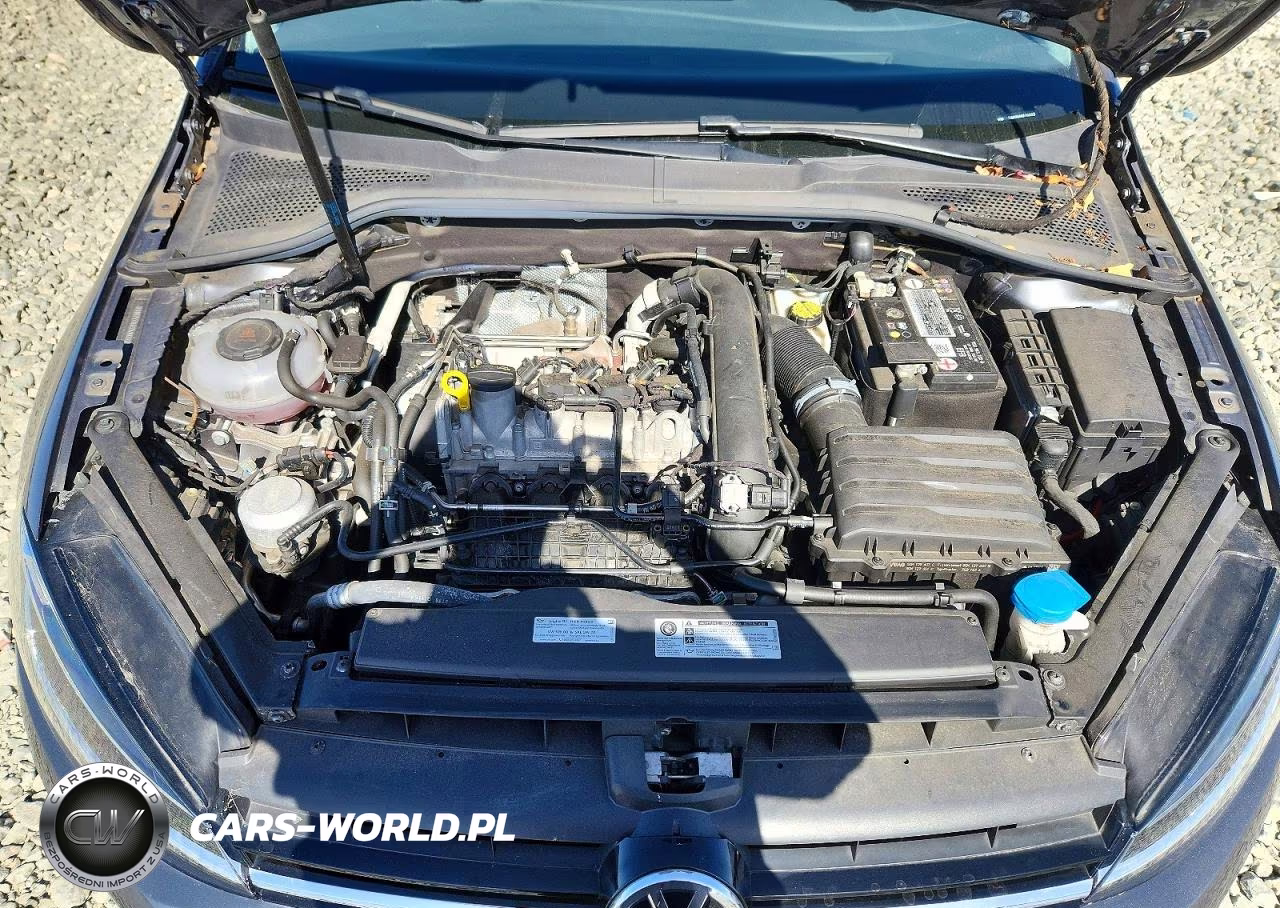 2019 Volkswagen Golf S VIN:3VWG57AU2KM010522 - 11