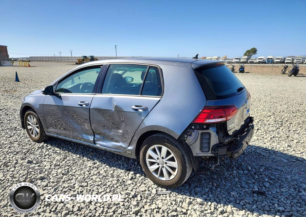 2019 Volkswagen Golf S VIN:3VWG57AU2KM010522 - 2