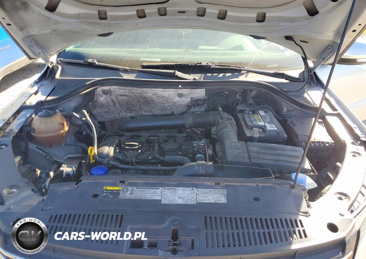 2013 Volkswagen Tiguan S VIN:WVGBV3AX0DW579531 - 12