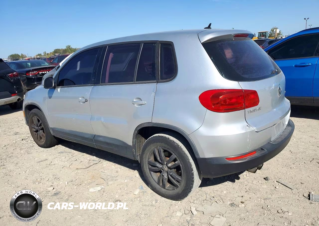 2013 Volkswagen Tiguan S VIN:WVGBV3AX0DW579531 - 2