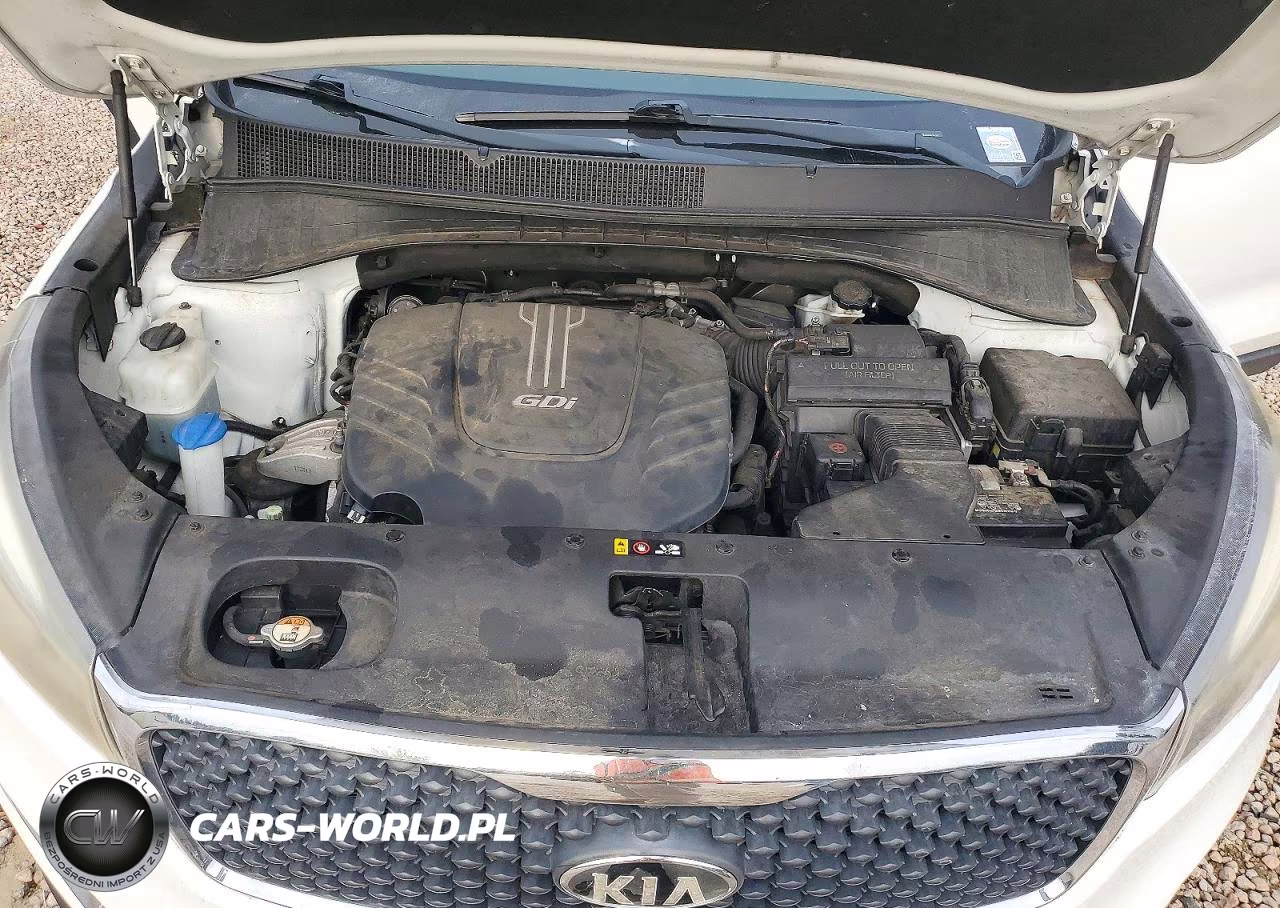 2018 Kia Sorento Lx V6 VIN:5XYPG4A59JG361427 - 12