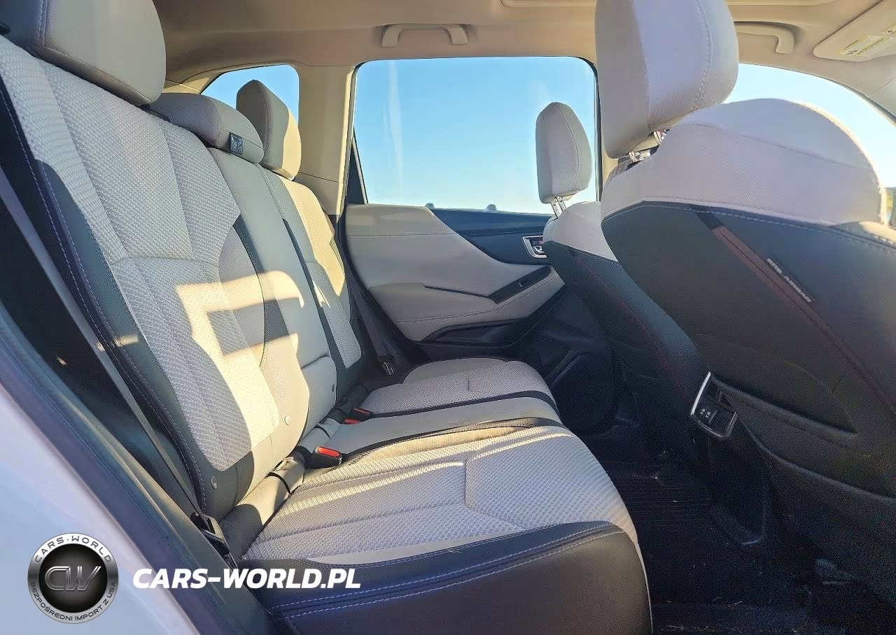 2019 Subaru Forester Premium VIN:JF2SKAGC0KH517801 - 10