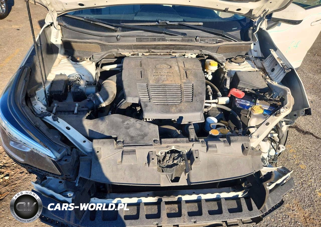2019 Subaru Forester Premium VIN:JF2SKAGC0KH517801 - 11