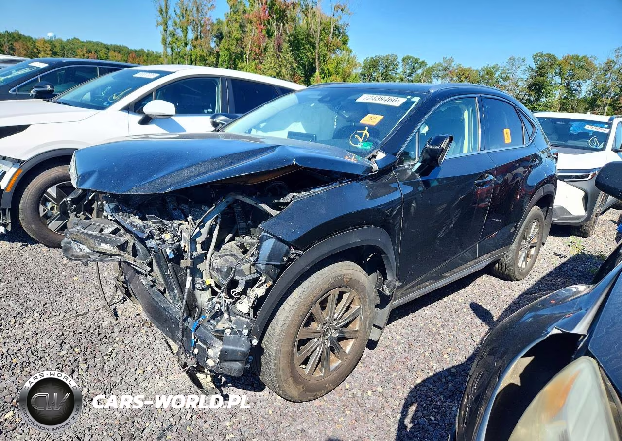 2020 Lexus Nx 300 VIN:JTJDARDZXL5011703 - 1