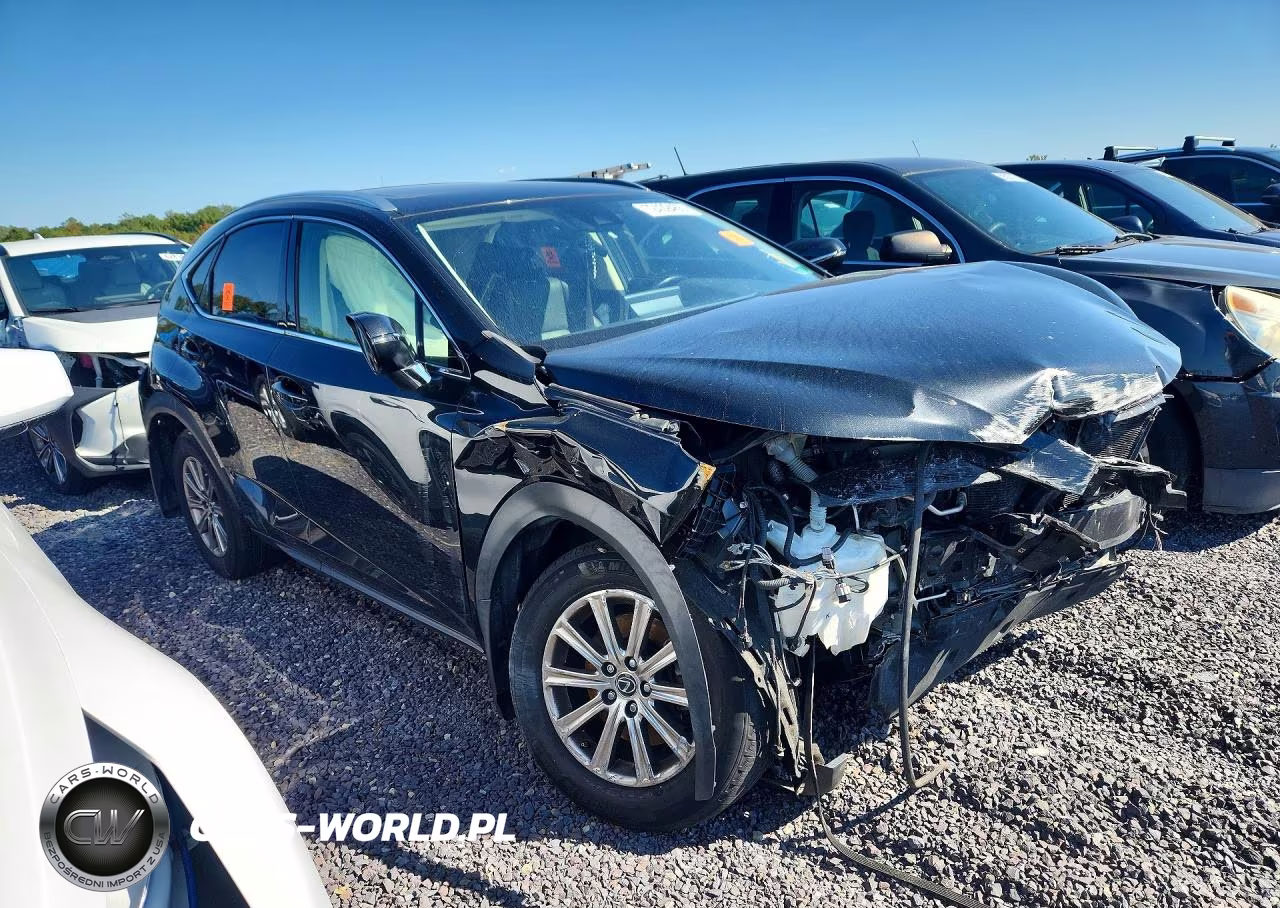 2020 Lexus Nx 300 VIN:JTJDARDZXL5011703 - 4