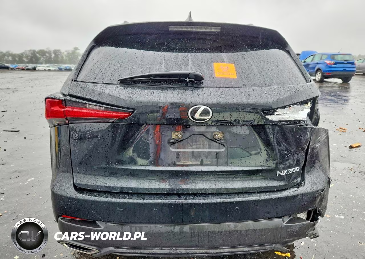 2020 Lexus Nx 300 VIN:JTJDARDZXL5011703 - 6