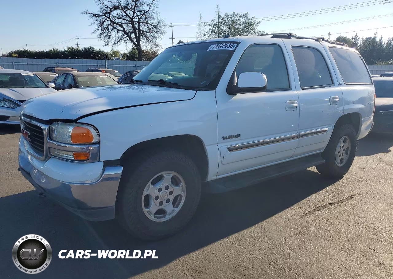2003 GMC Yukon VIN:1GKEK13T53J134968 - 1