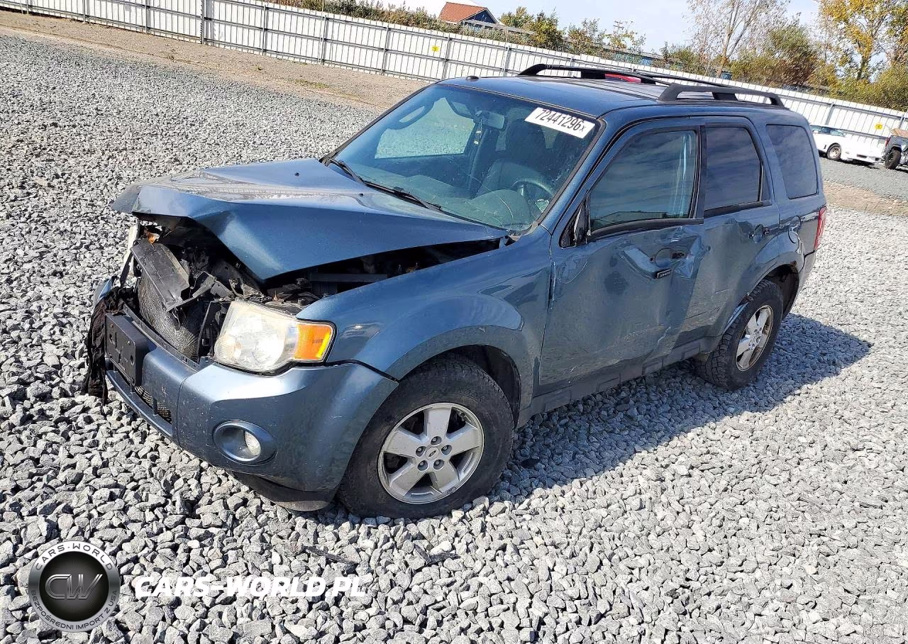 2010 Ford Escape Xlt