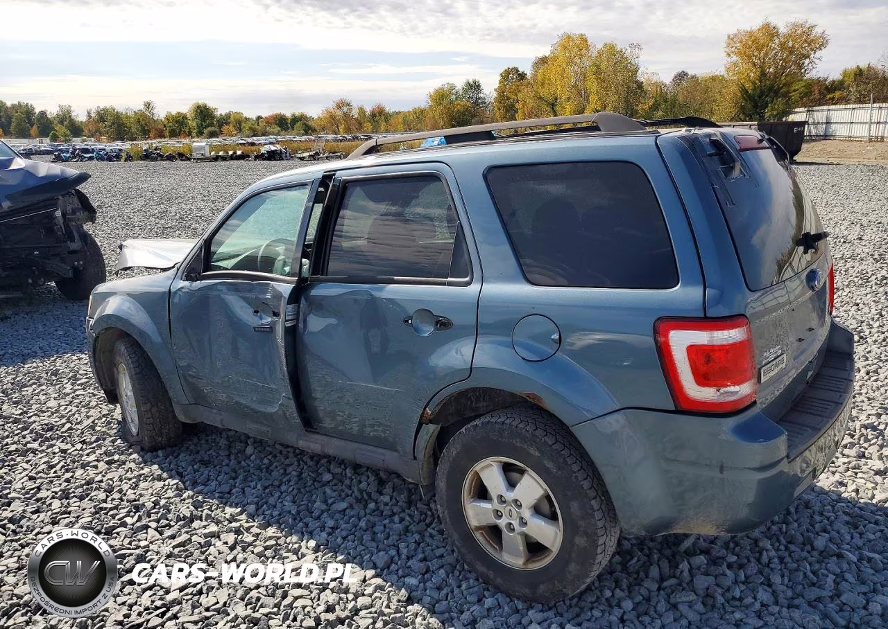 2010 Ford Escape Xlt VIN:1FMCU0DG0AKB42939 - 2