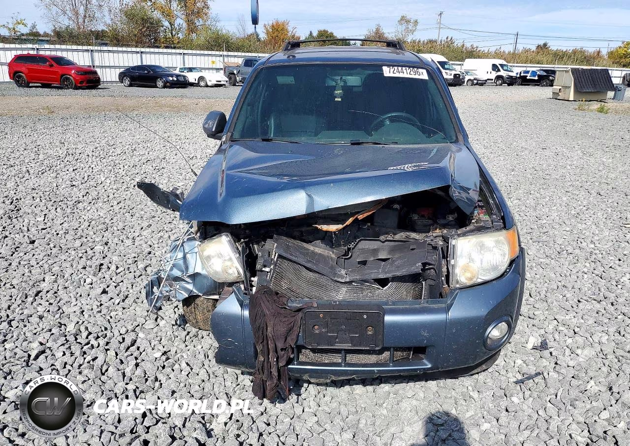 2010 Ford Escape Xlt VIN:1FMCU0DG0AKB42939 - 5