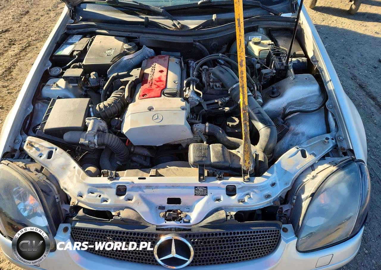 1999 Mercedes-Benz Slk 230 Kompressor VIN:WDBKK47F5XF117504 - 11