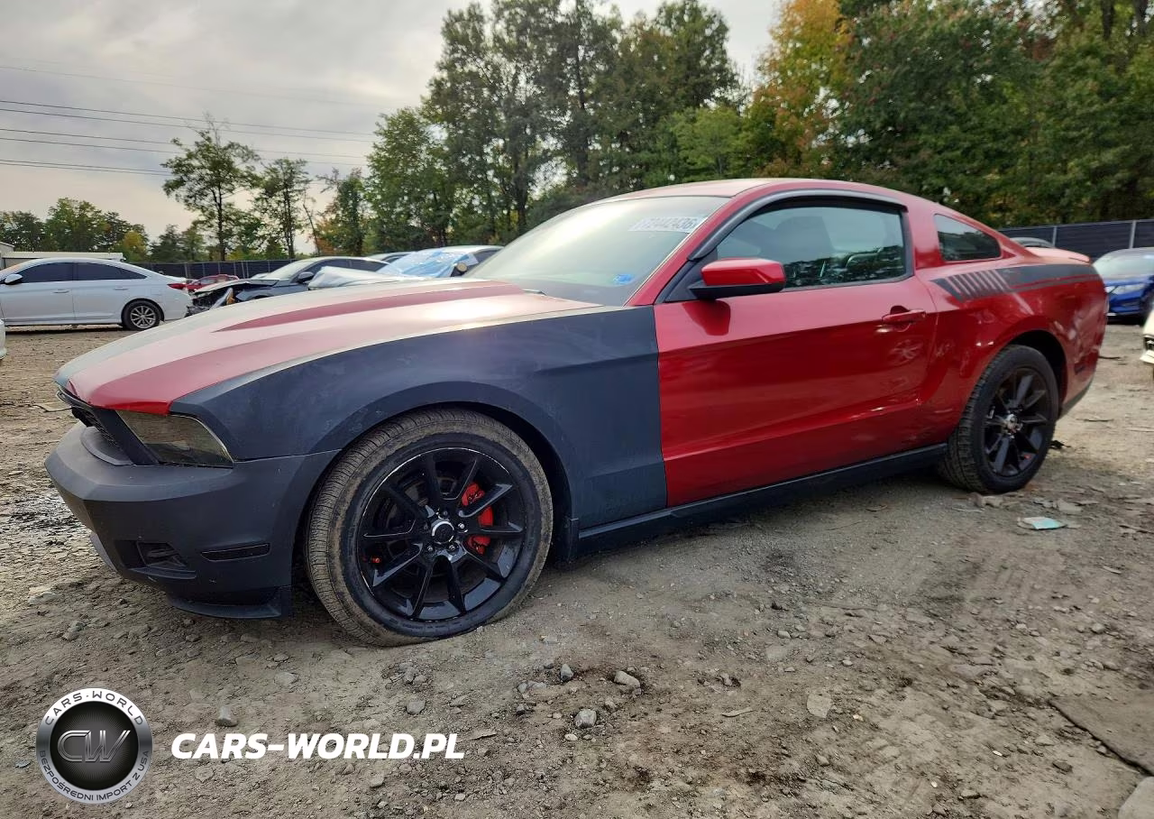 2010 Ford Mustang VIN:1ZVBP8AN1A5123224 - 1