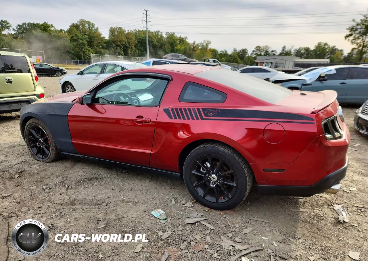 2010 Ford Mustang VIN:1ZVBP8AN1A5123224 - 2