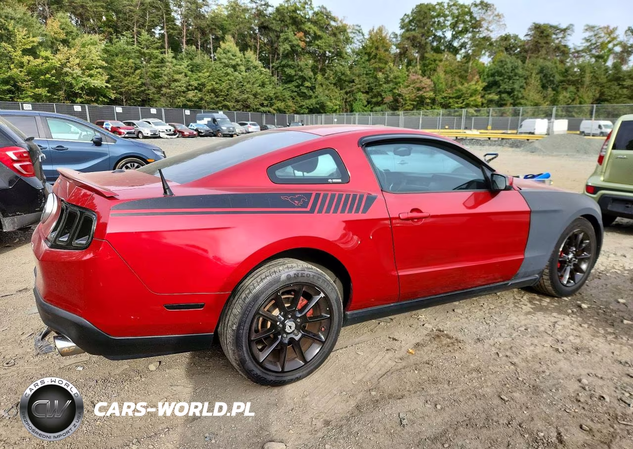 2010 Ford Mustang VIN:1ZVBP8AN1A5123224 - 3