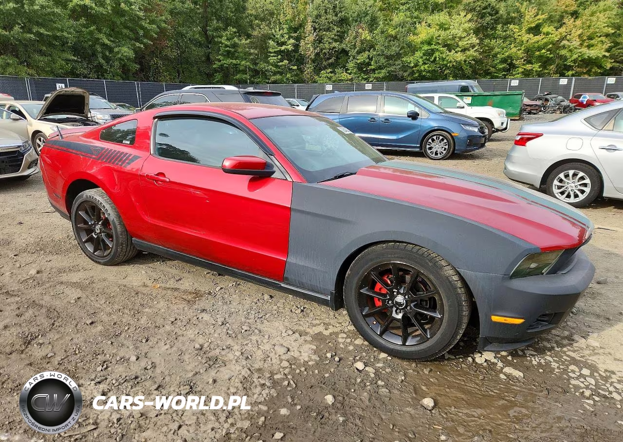 2010 Ford Mustang VIN:1ZVBP8AN1A5123224 - 4