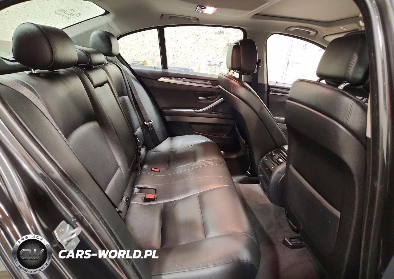 2013 BMW 528 Xi VIN:WBAXH5C56DD110008 - 10
