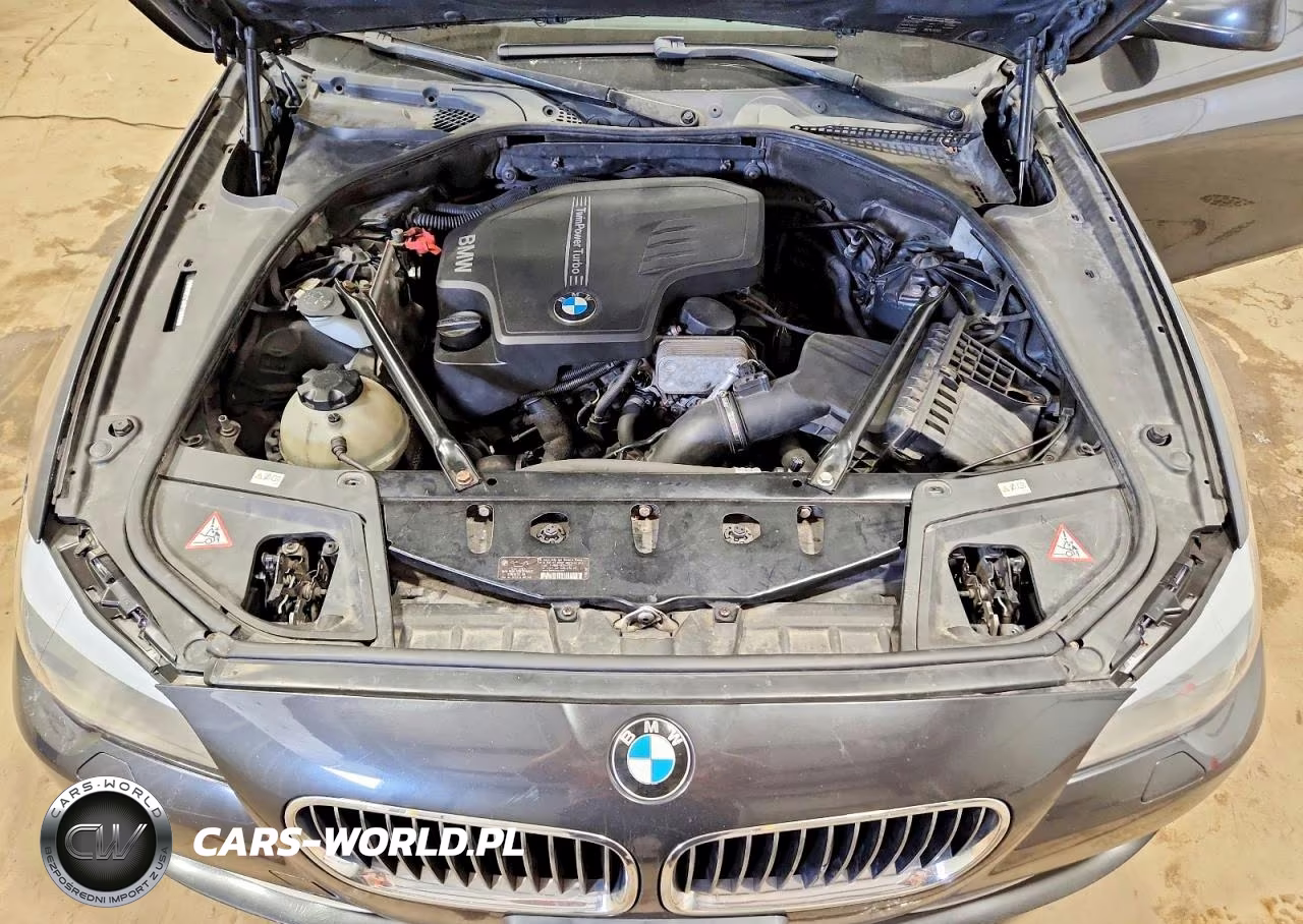 2013 BMW 528 Xi VIN:WBAXH5C56DD110008 - 11
