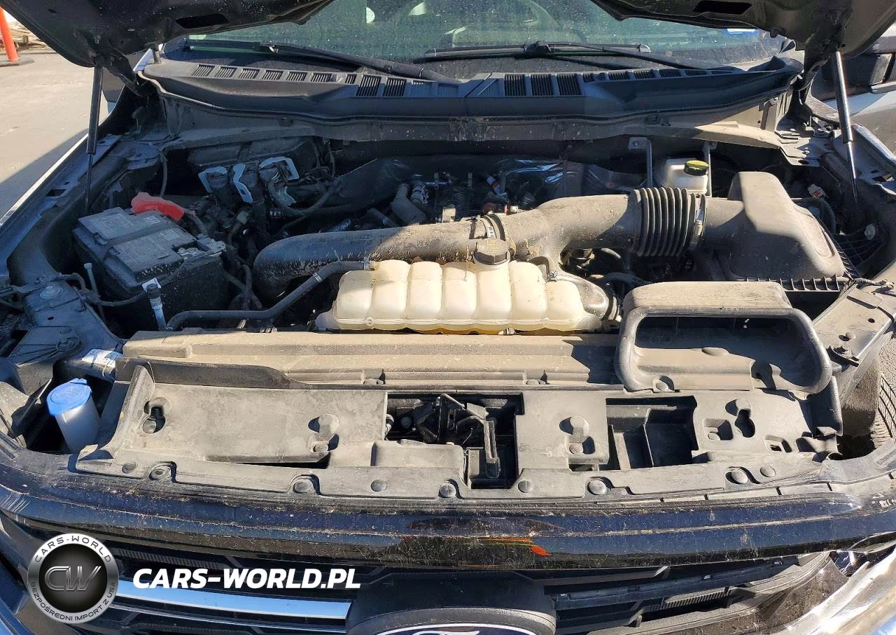 2025 Ford F150 Xlt VIN:1FTEW3K88SKE76982 - 11