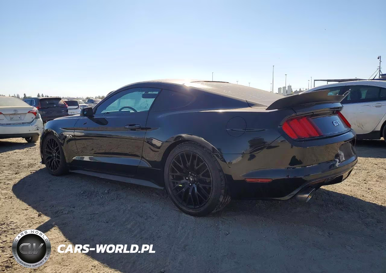 2016 Ford Mustang Gt VIN:1FA6P8CF4G5215789 - 2