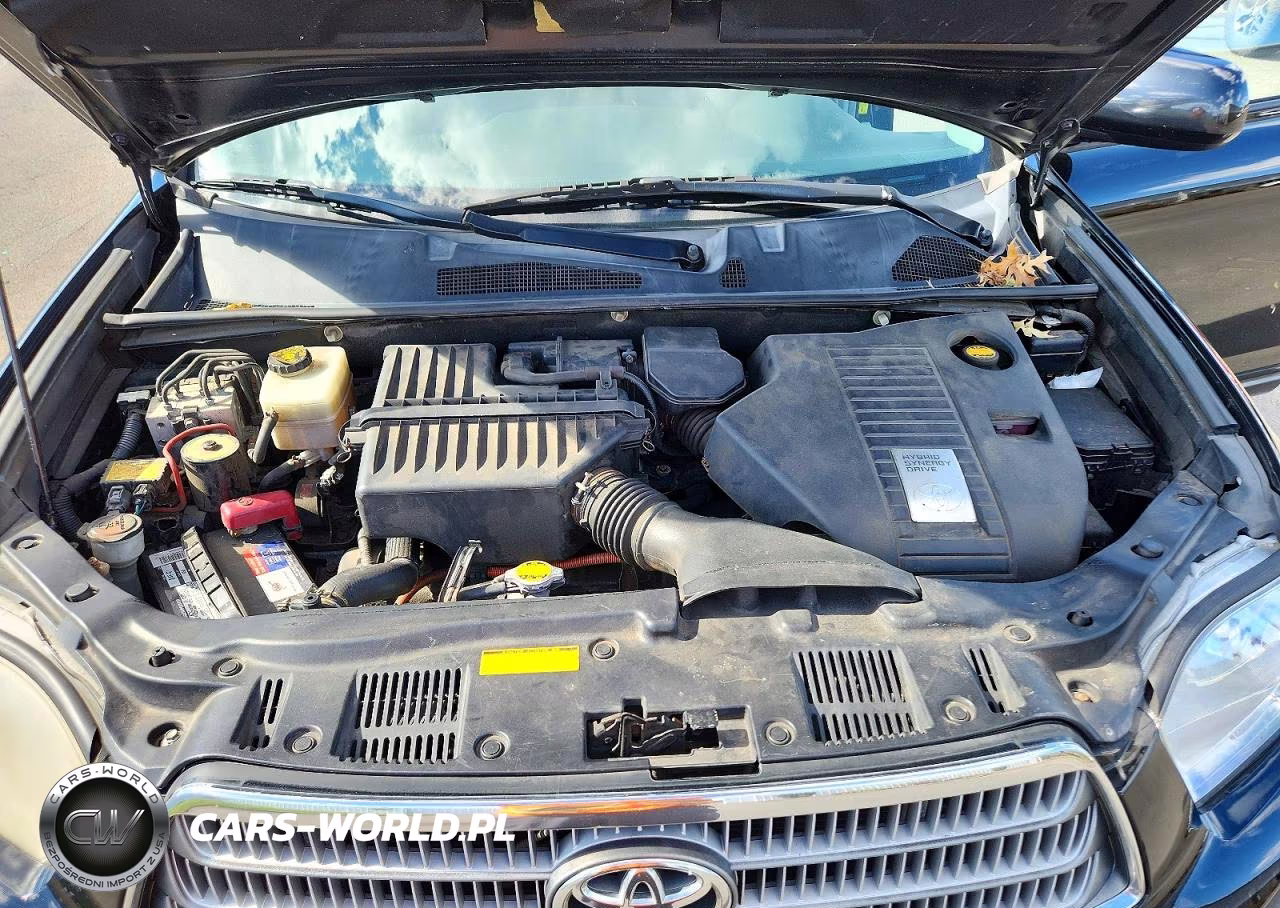 2009 Toyota Highlander Hybrid VIN:JTEEW41A892037068 - 12