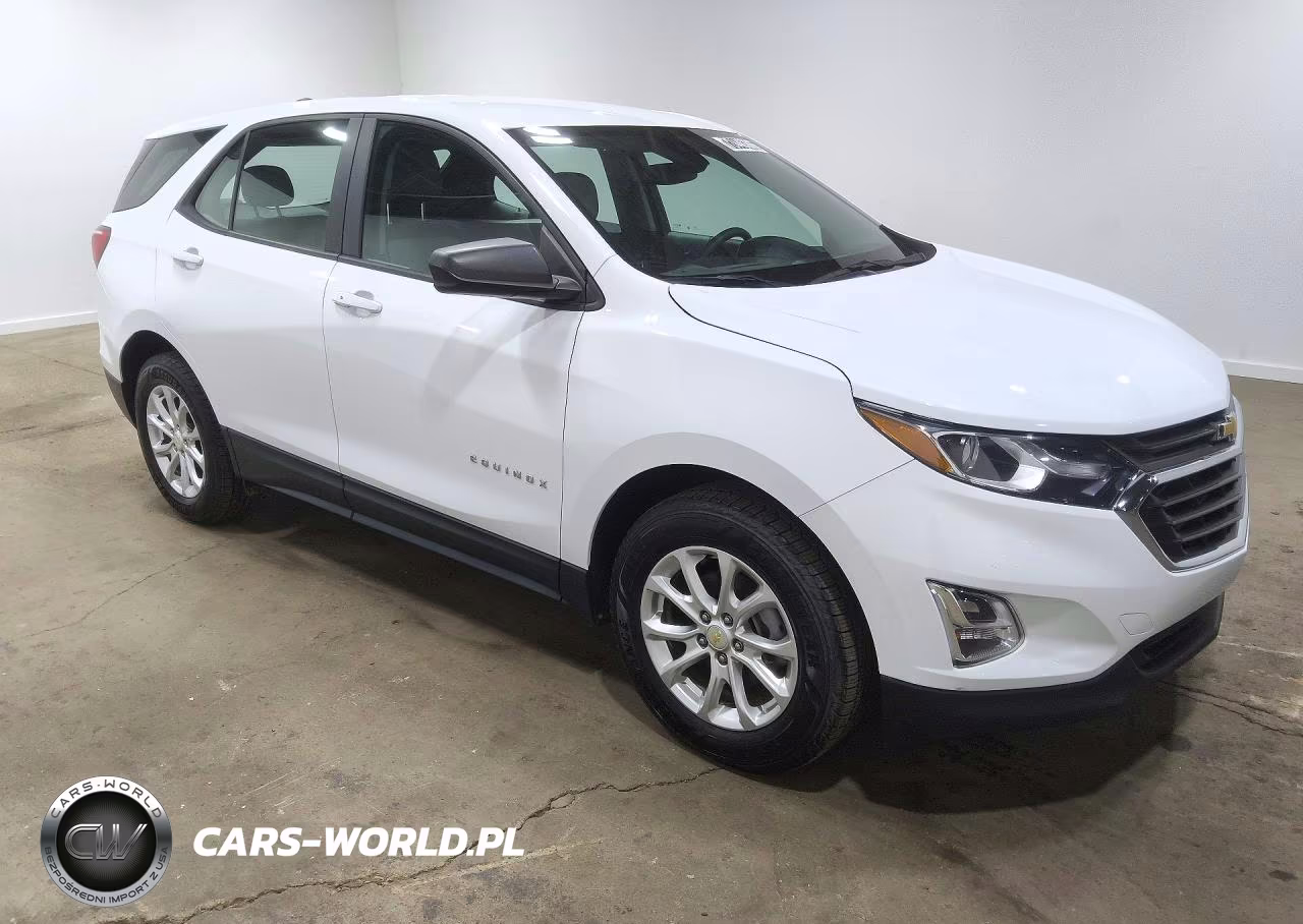 2020 Chevrolet Equinox Ls VIN:2GNAXHEV4L6228380 - 4