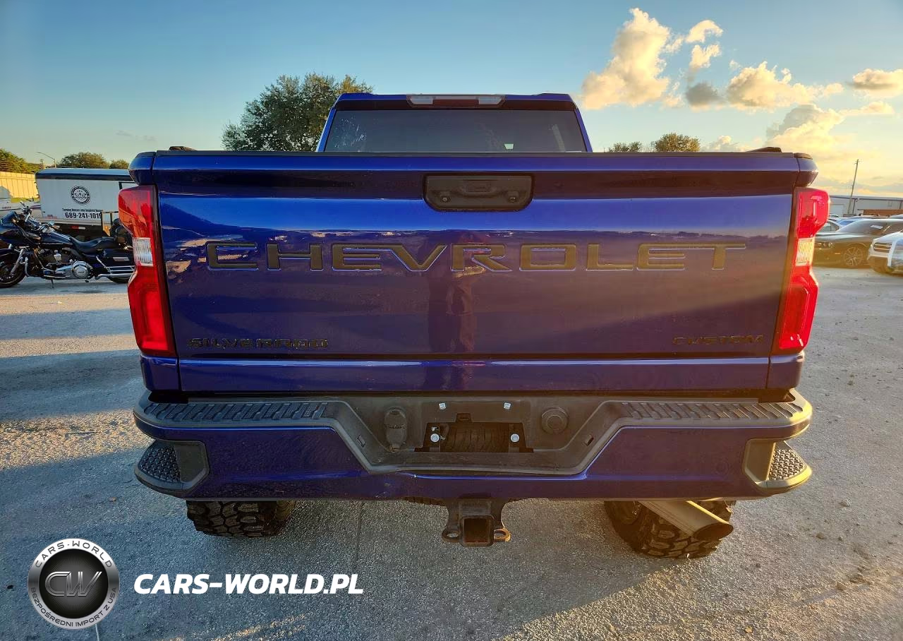 2020 Chevrolet Silverado K2500 Custom VIN:1GC4YME73LF345743 - 6