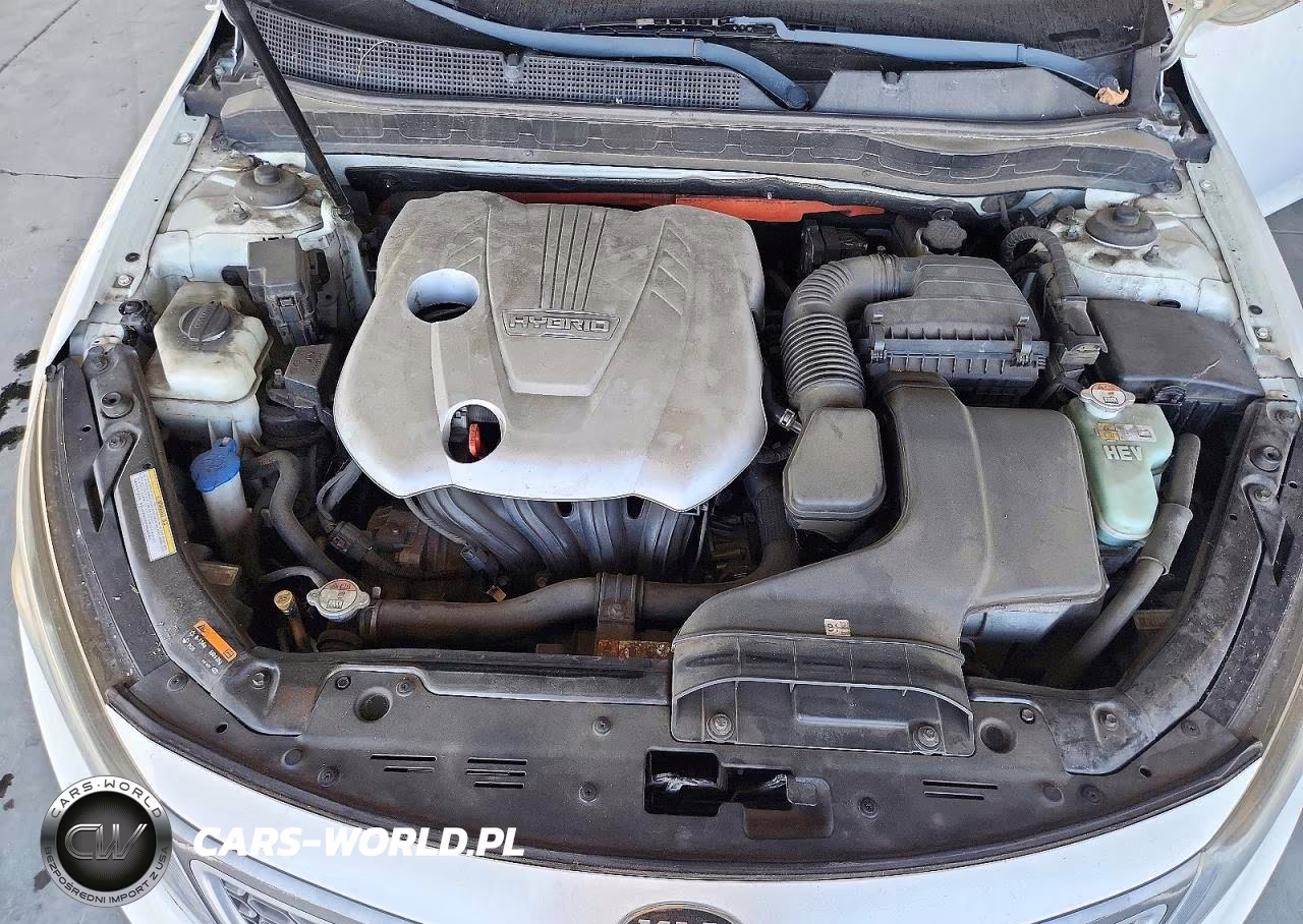 2015 Kia Optima Hybrid VIN:KNAGM4AD8F5079955 - 11