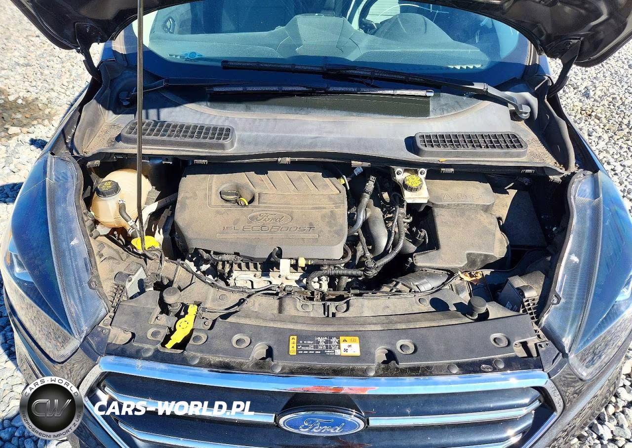 2018 Ford Escape Se VIN:1FMCU9GD1JUC16573 - 11