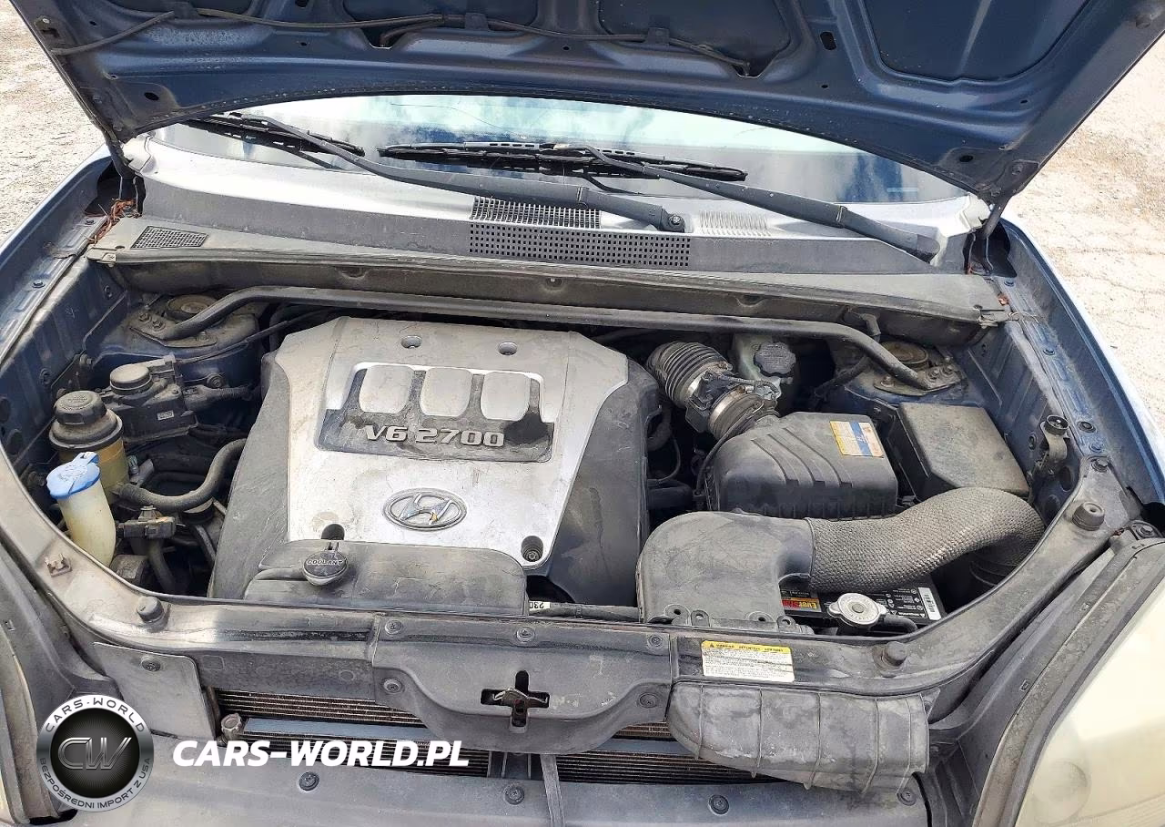 2006 Hyundai Tucson Gls VIN:KM8JN72D36U422565 - 12