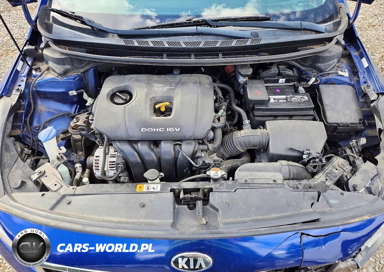 2017 Kia Forte Lx VIN:3KPFK4A79HE156550 - 11