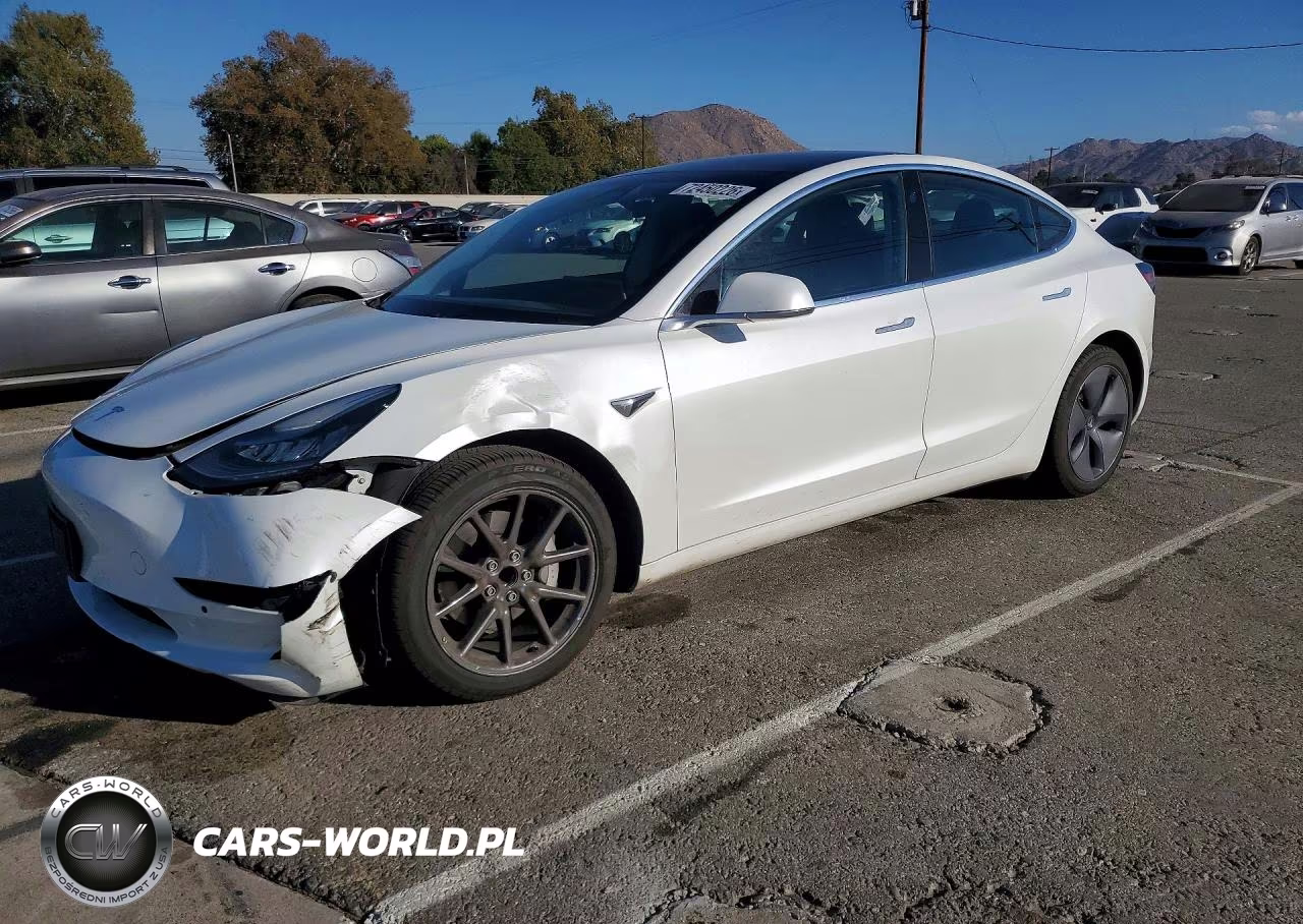 2020 Tesla Model 3 VIN:5YJ3E1EA2LF613216 - 1