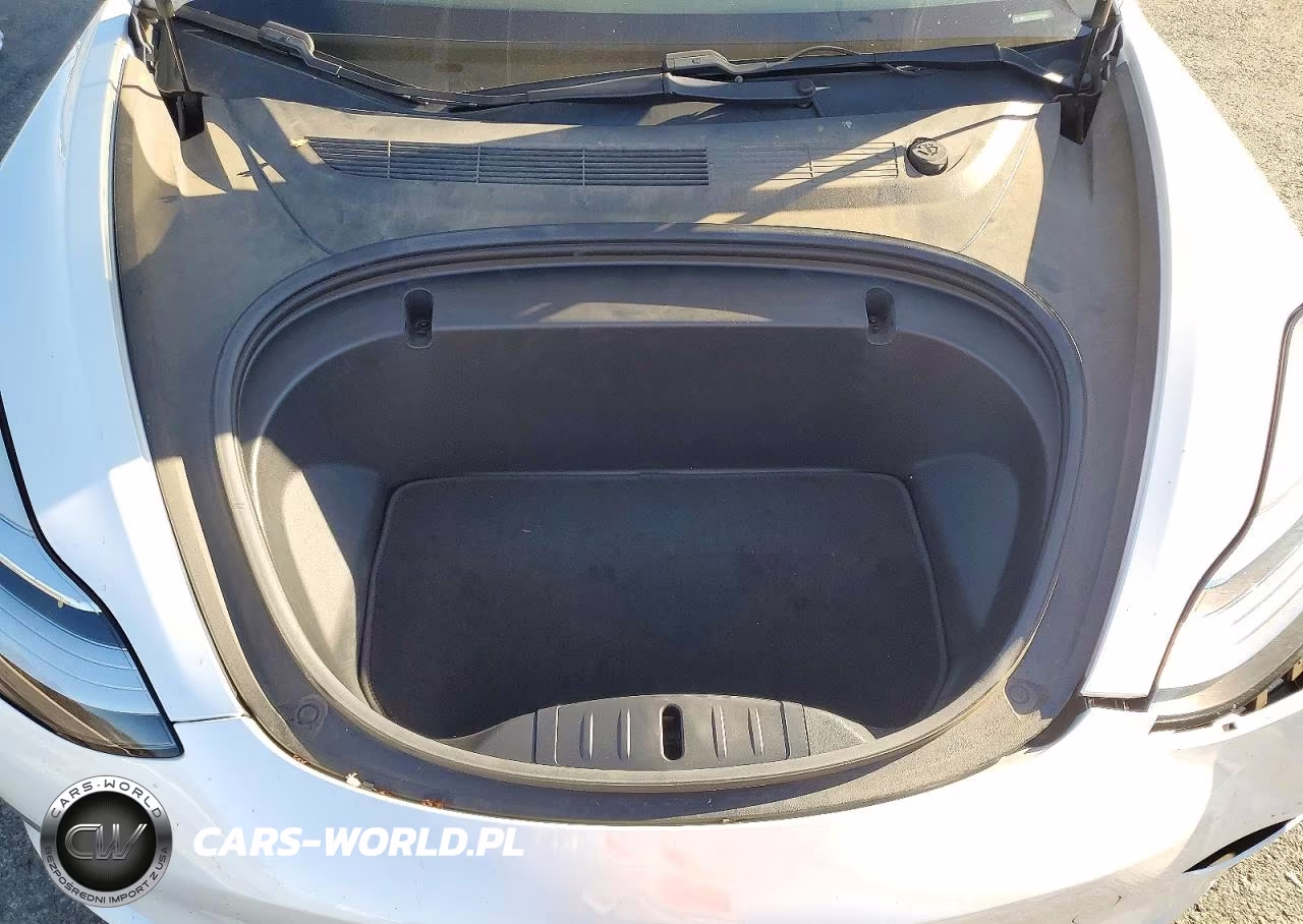 2020 Tesla Model 3 VIN:5YJ3E1EA2LF613216 - 11