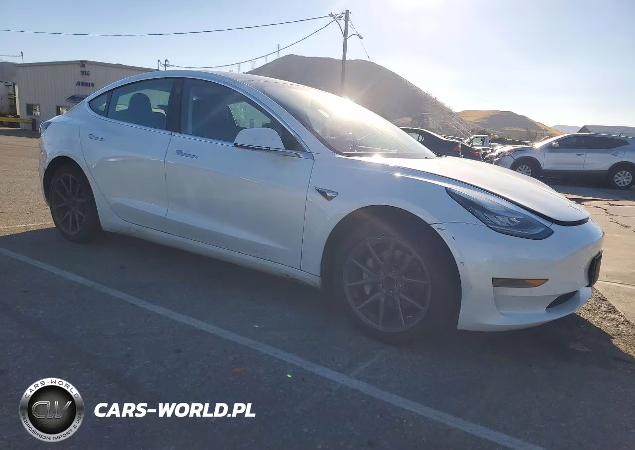 2020 Tesla Model 3 VIN:5YJ3E1EA2LF613216 - 4