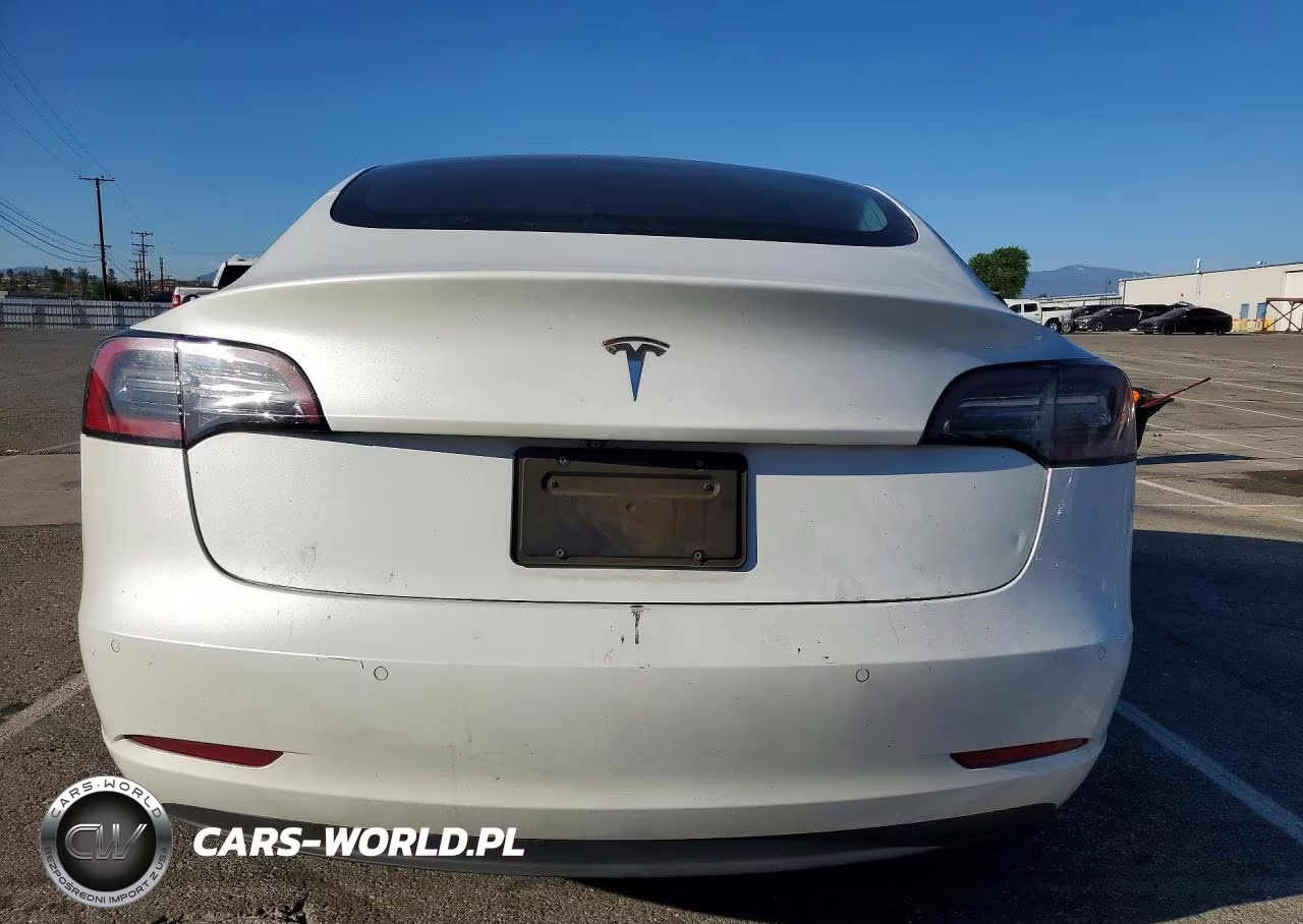2020 Tesla Model 3 VIN:5YJ3E1EA2LF613216 - 6