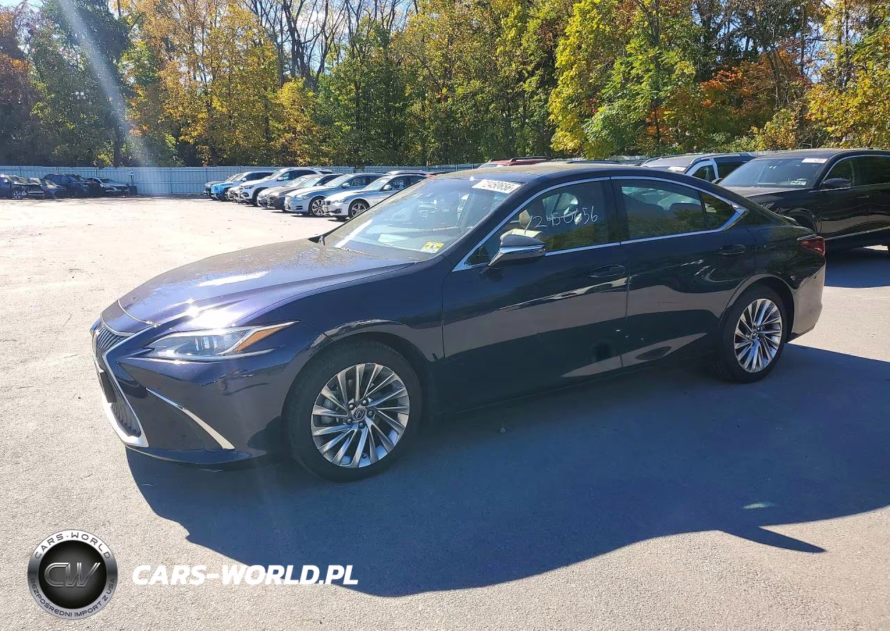 2019 Lexus Es 350 VIN:58ABZ1B19KU013422 - 1