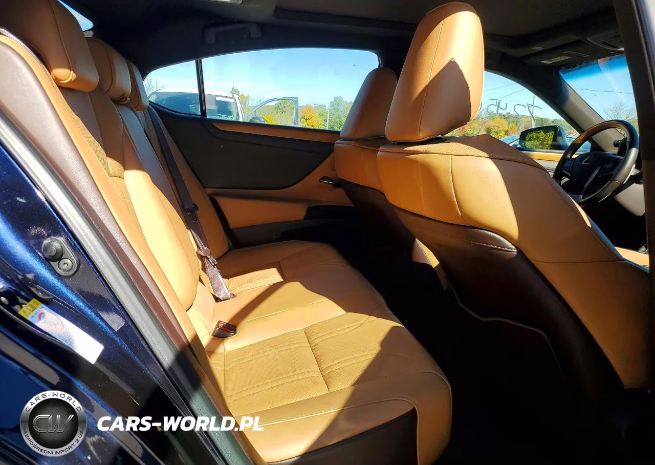 2019 Lexus Es 350 VIN:58ABZ1B19KU013422 - 10