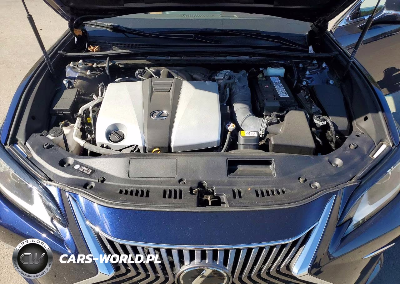 2019 Lexus Es 350 VIN:58ABZ1B19KU013422 - 11