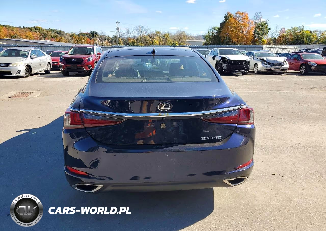 2019 Lexus Es 350 VIN:58ABZ1B19KU013422 - 6