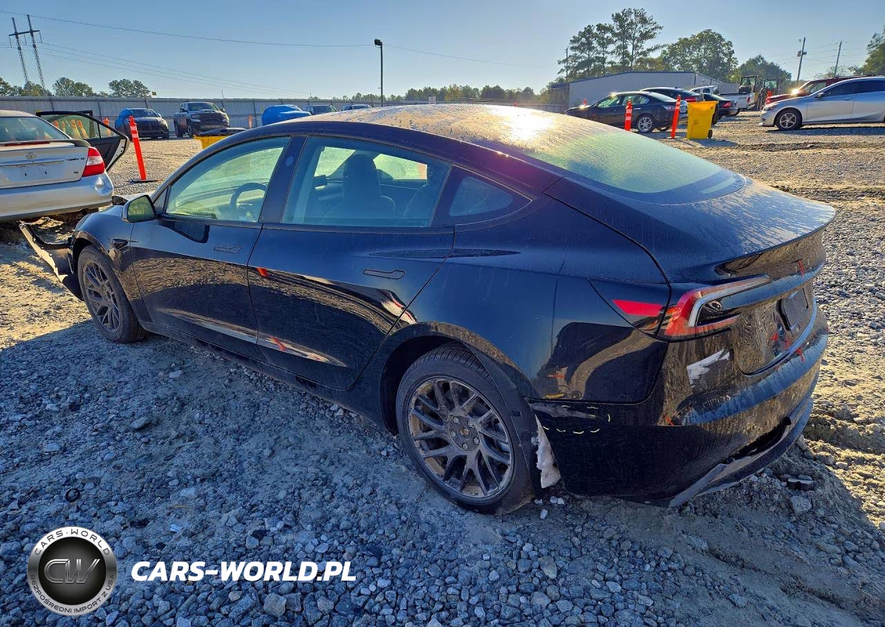 2025 Tesla Model 3 VIN:5YJ3E1EB5SF941186 - 2