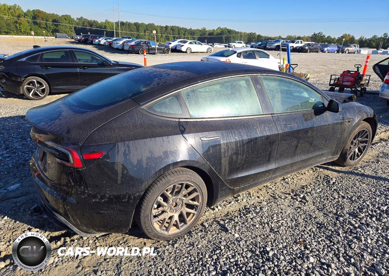 2025 Tesla Model 3 VIN:5YJ3E1EB5SF941186 - 3