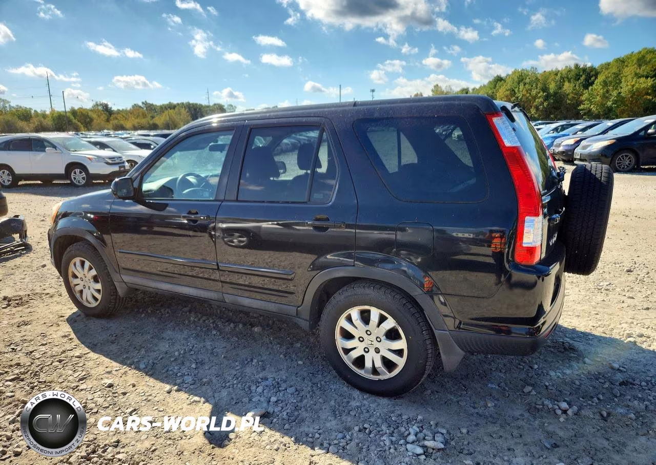 2005 Honda Cr-V Se VIN:SHSRD78965U304118 - 2