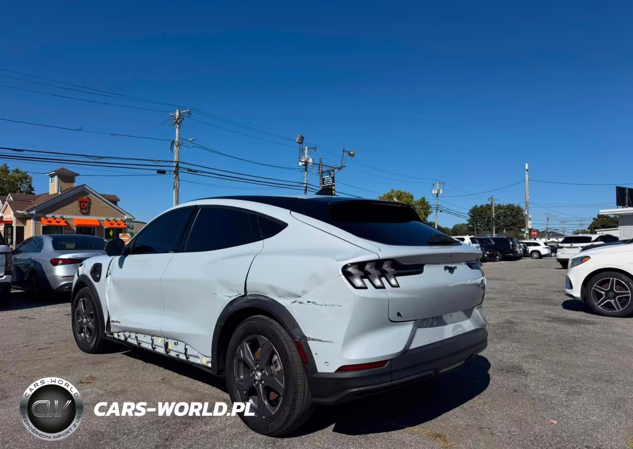2023 Ford Mustang Mach-E Select VIN:3FMTK1SS0PMA42585 - 3