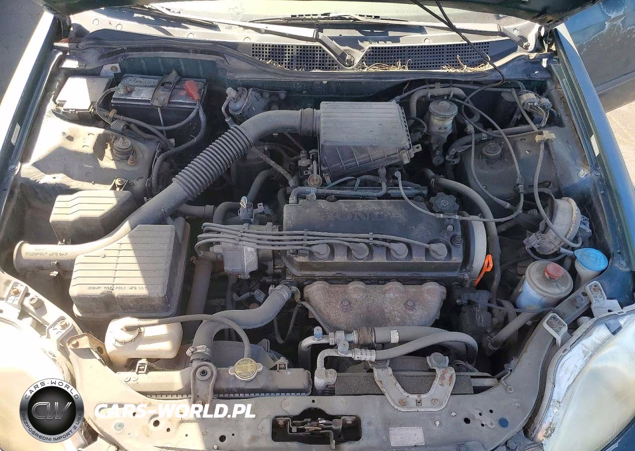 1998 Honda Civic Lx VIN:2HGEJ6679WH622614 - 11