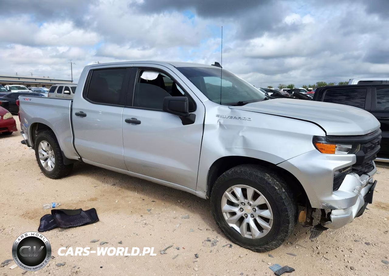 2022 Chevrolet Silverado K1500 Custom VIN:1GCPDBEK0NZ521523 - 4