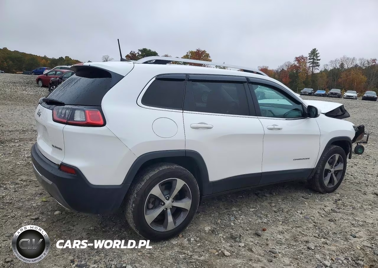 2019 Jeep Cherokee Limited 4X4 VIN:1C4PJMDX0KD156058 - 3