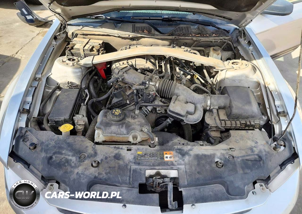 2011 Ford Mustang VIN:1ZVBP8EM8B5161598 - 11