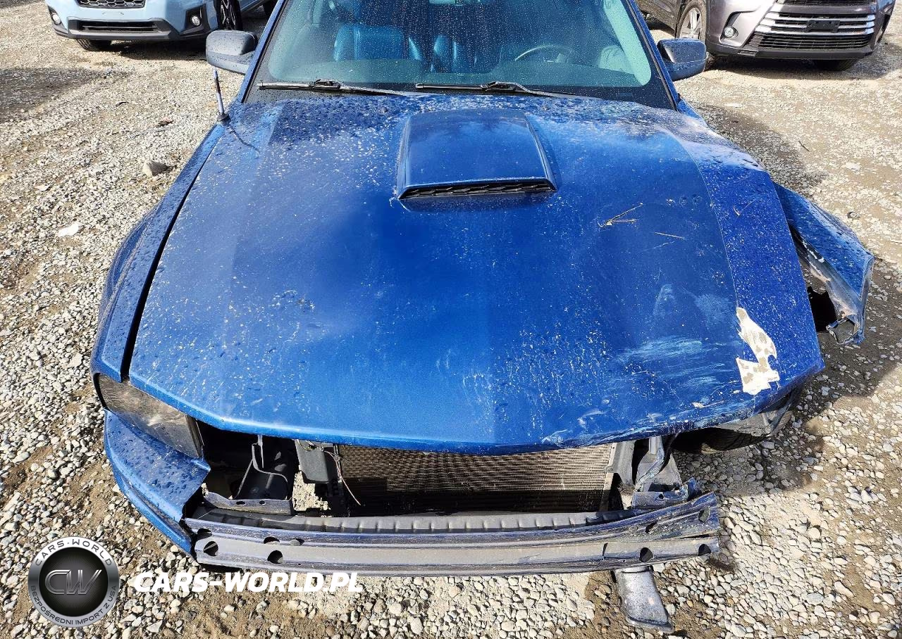 2008 Ford Mustang VIN:1ZVHT80N685126136 - 11