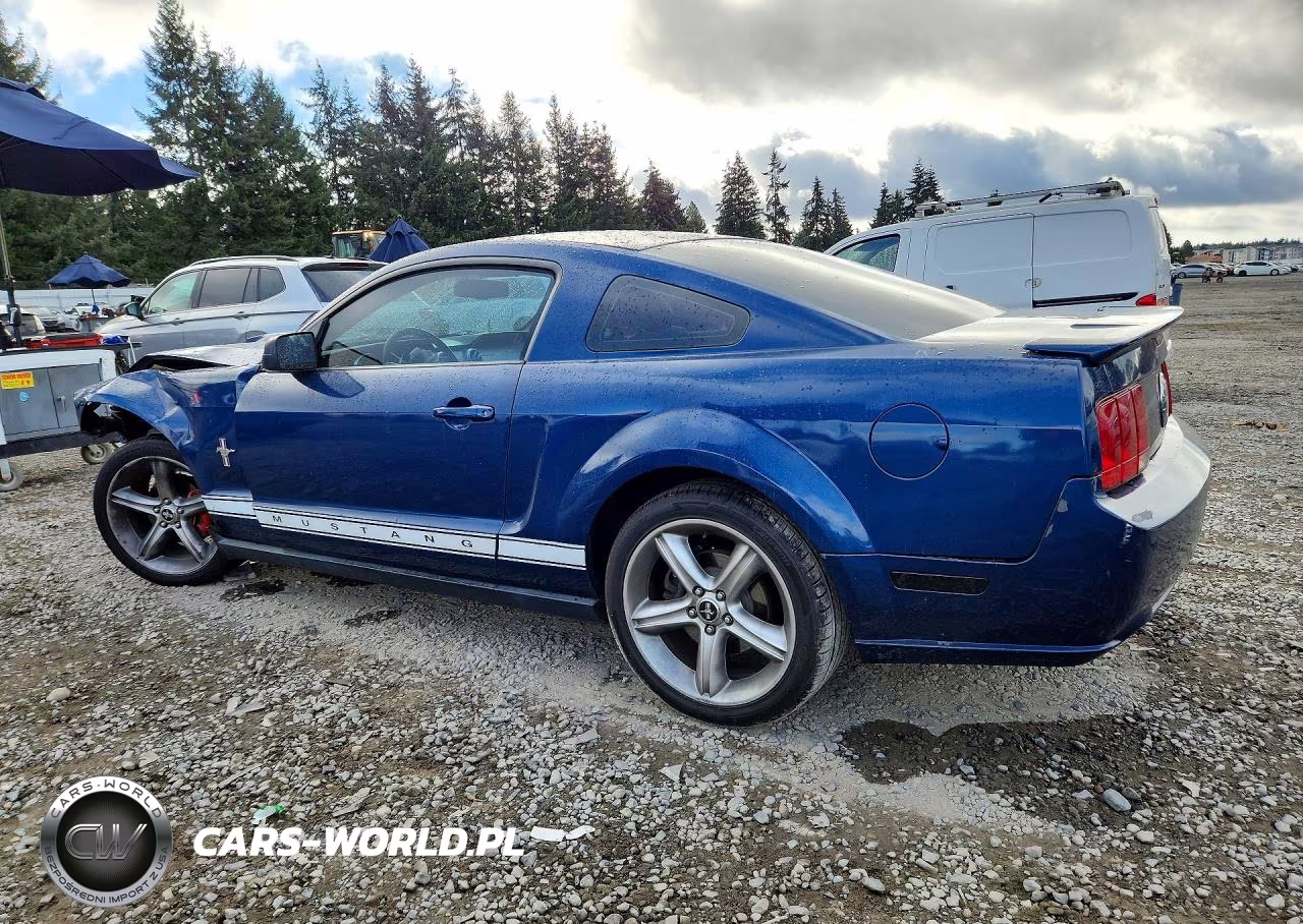 2008 Ford Mustang VIN:1ZVHT80N685126136 - 2